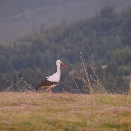 Goralski Domek Horská chata